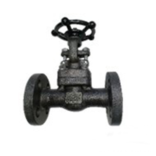 API 602 Forged Steel Gate Valve, 1/2 Inch, 600 LB, A105N, RF