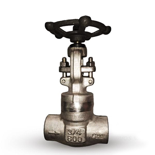 API 602 Globe Valve, ASTM A182 F316, 3/4 Inch, 800 LB, SW