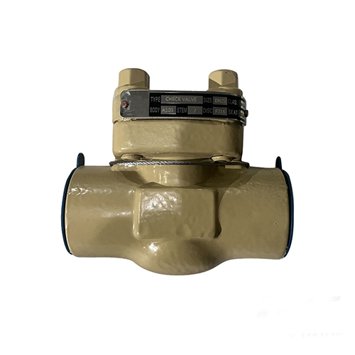API 602 Lift Check Valve, DN25, PN16, ASTM A105N, BSP
