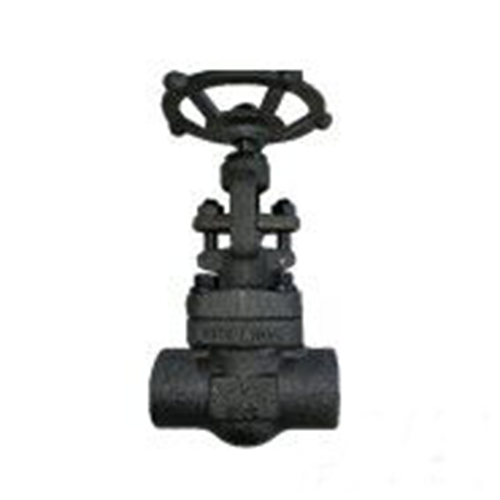 ASTM A105N Globe Valve, 1 Inch, 800 LB, API 602, SW