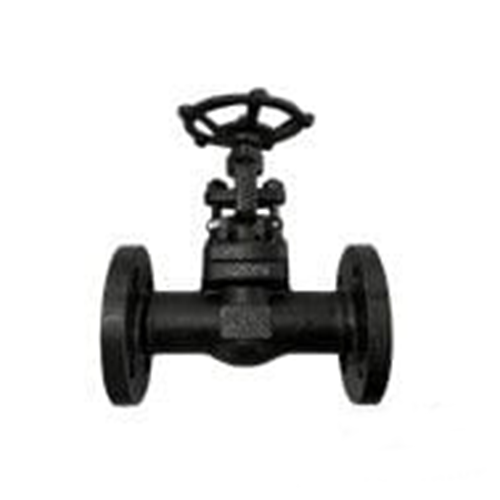ASTM A105N Globe Valve, SS 304, 1 Inch, 300 LB, API 602, RF