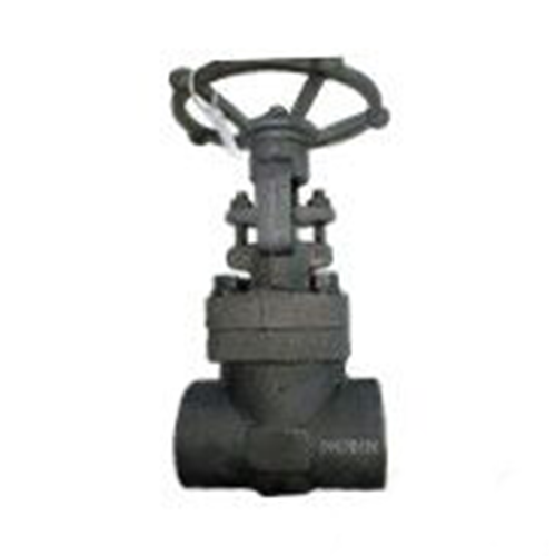 ASTM A105N Rising Stem Gate Valve, 2 Inch, 800 LB, API 602