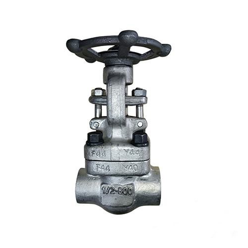 ASTM A182 F44 Gate Valve, 1/2 Inch, 800 LB, API 602, NPT