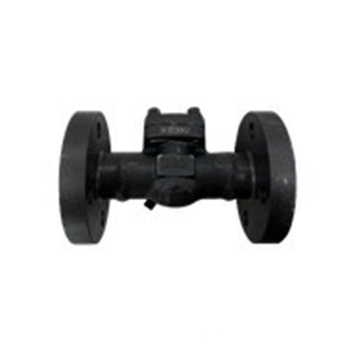 BS 5352 Lift Check Valve, DN25, PN100, A105N, SS 304