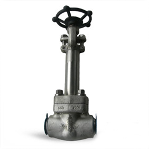 Extend Bonnet Gate Valve, DN25, PN160, SW, F304