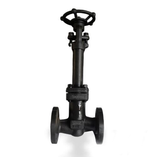 Forged ASTM A182 F316 Globe Valve, DN25, PN40, BS 5352