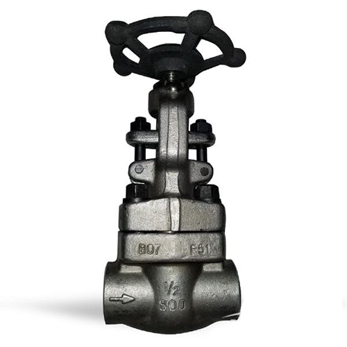 Forged ASTM A182 F51 Globe Valve, 1/2 Inch, 800 LB, API 602, SW