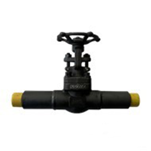 MNPT End Gate Valve, 1 Inch, 800 LB, ASTM A105N, API 602