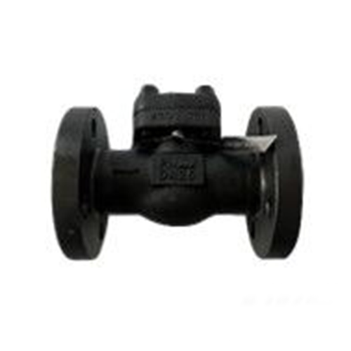 SS 304 Lift Check Valve, DN25, PN40, ASTM A105N